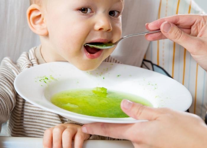Lưu ý khi cho trẻ 6 tháng tuổi ăn rau ngót
